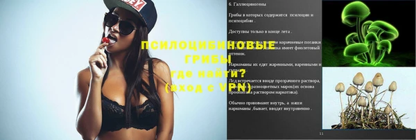 дурь Горно-Алтайск